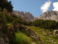 2014-08-02_06FritzPflaum-Steig (242).JPG